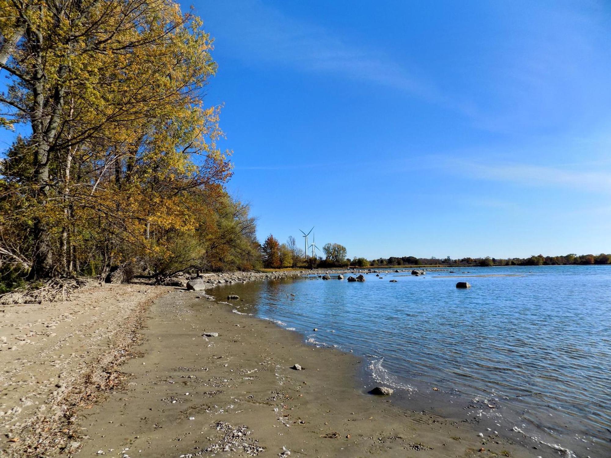 Hotel Wolfe Island Marysville Εξωτερικό φωτογραφία
